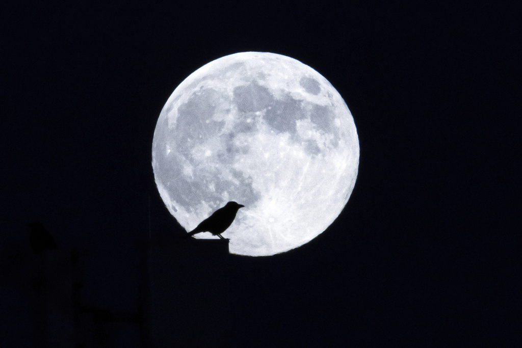 NASA pushes back astronaut flights to the moon again NASA pushes back astronaut flights to the moon again