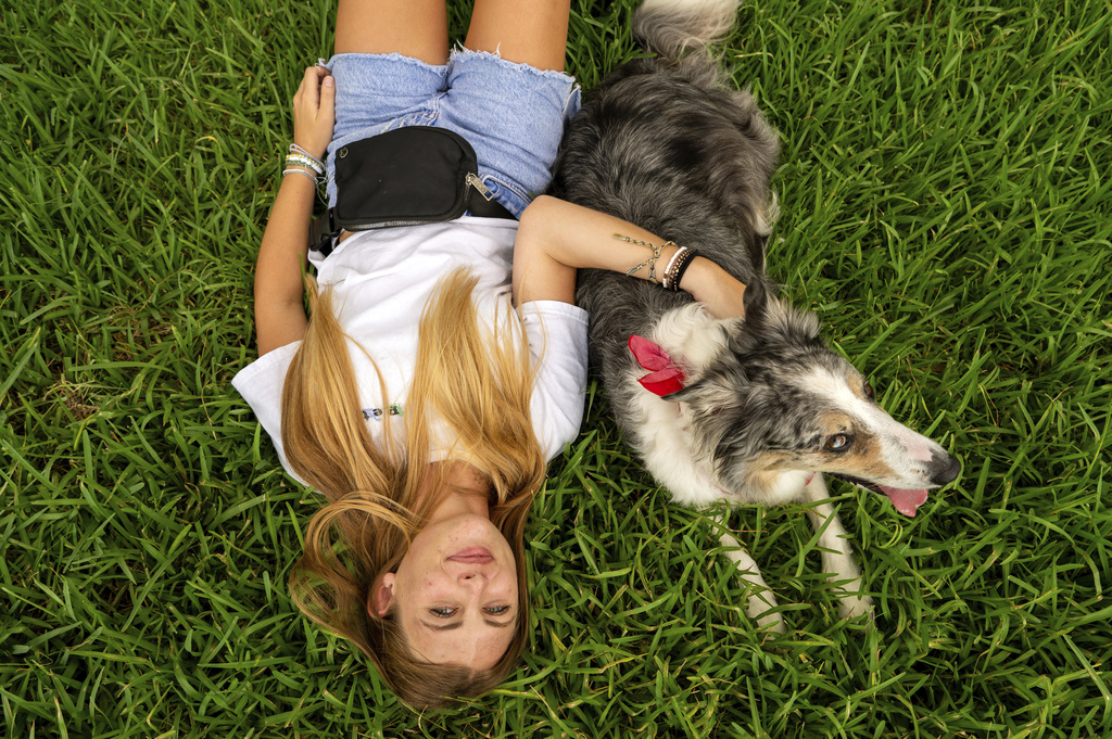 At some colleges, move-in day includes students’ dogs and cats At some colleges, move-in day includes students’ dogs and cats