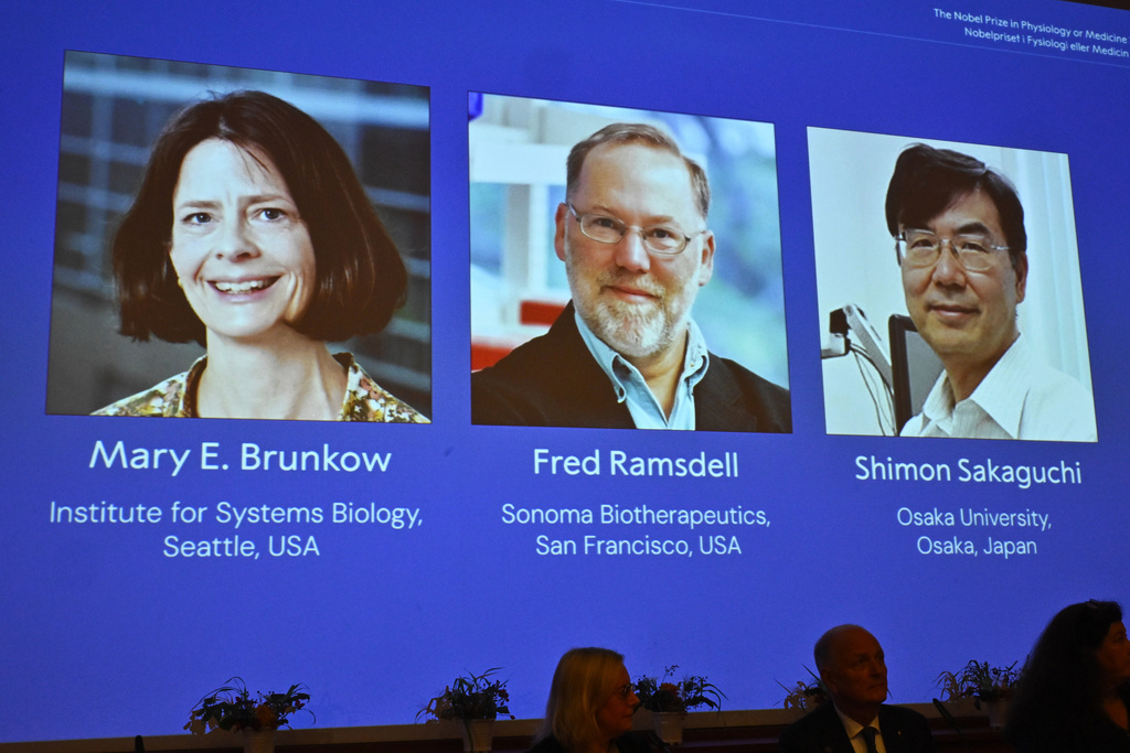 The Nobel Prize in medicine goes to 3 scientists for work on the human immune system