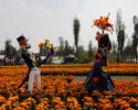 Catrina sculptures stand in a field of cempasuchil flowers in San Luis Tlaxialtemalco on the outskirts of Mexico City, Friday, Oct. 17, 2025. (AP Photo/Claudia Rosel)