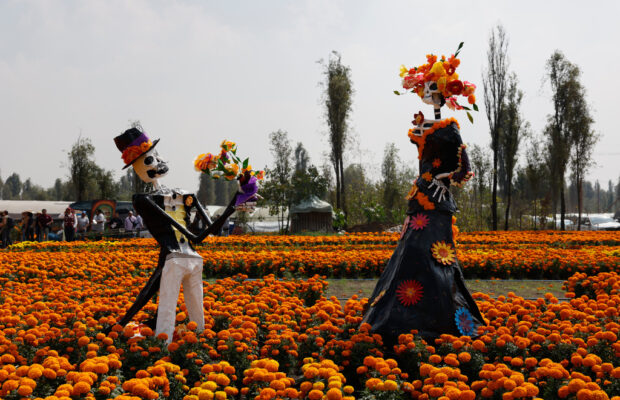 This orange flower cloaks Mexico during Day of the Dead. Climate change is putting it at risk