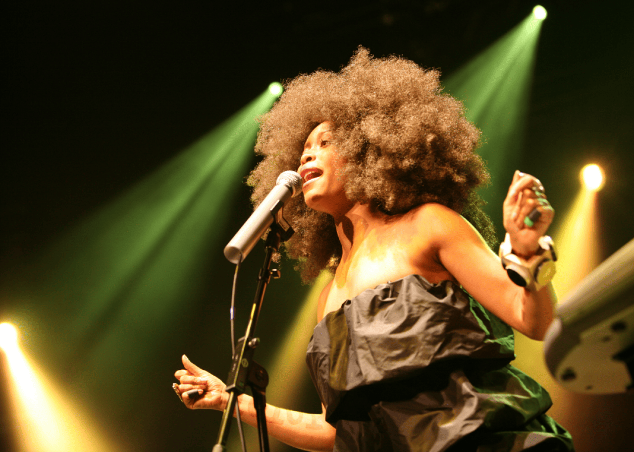 20 slang words popularized by hit songs Erykah Badu performing.