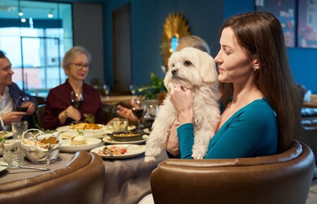 Can your dog eat Christmas dinner? The holiday foods pets can and can’t have