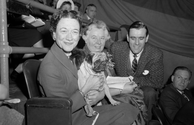 The Westminster dog show is turning 150. Here’s what has — and hasn’t — changed over time