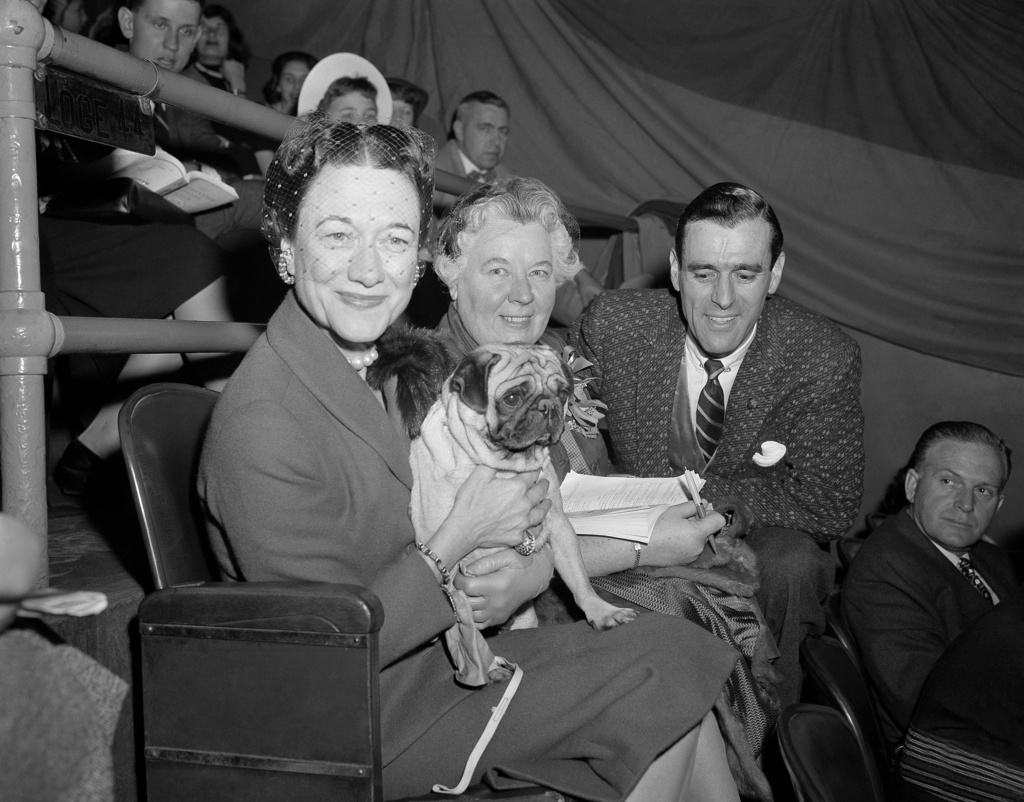 The Westminster dog show is turning 150. Here’s what has — and hasn’t — changed over time The Westminster dog show is turning 150. Here’s what has — and hasn’t — changed over time