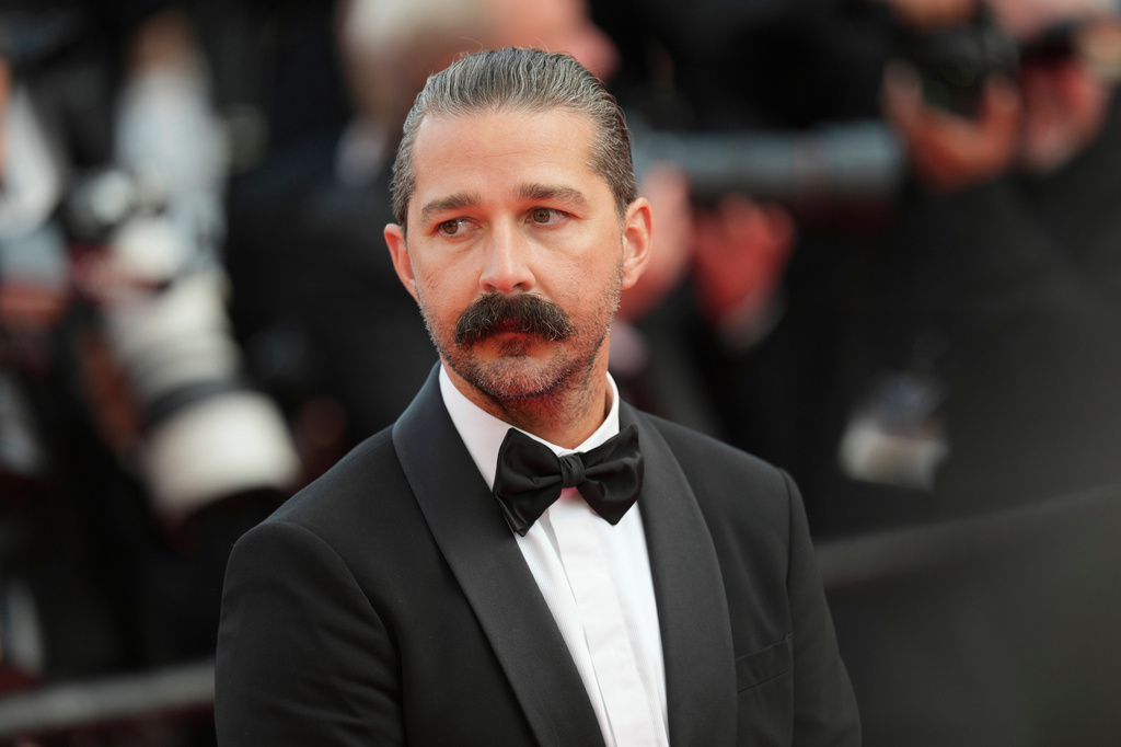 Shia LaBeouf gets probation after pleading guilty to punching bargoers during Mardi Gras Shia LaBeouf gets probation after pleading guilty to punching bargoers during Mardi Gras