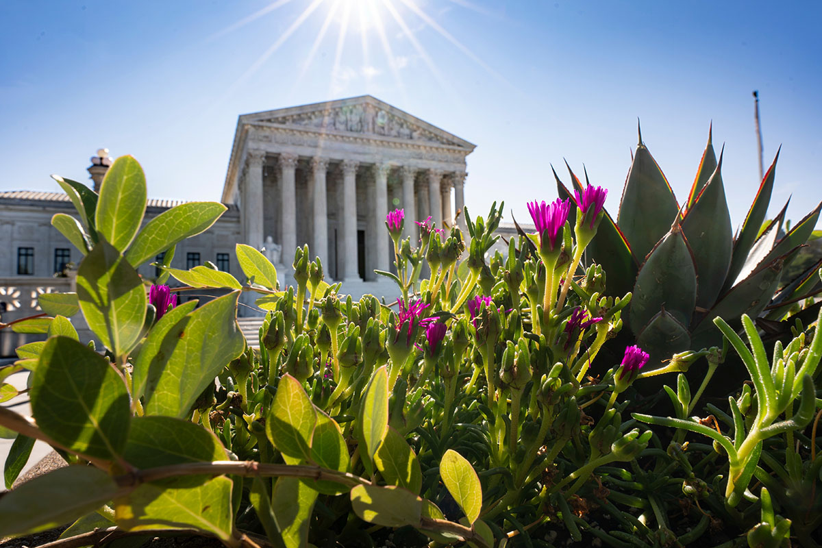Supreme Court grants review of Trump administration’s mandatory detention policy for immigrants