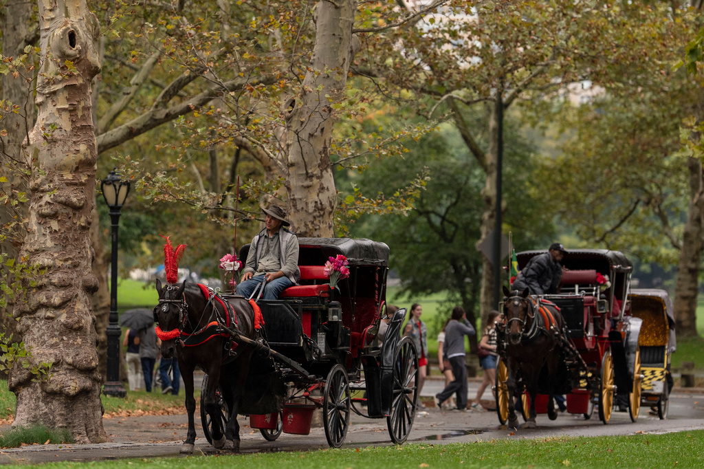 Facing a ban on horse-drawn carriages, Central Park’s drivers fear for their future