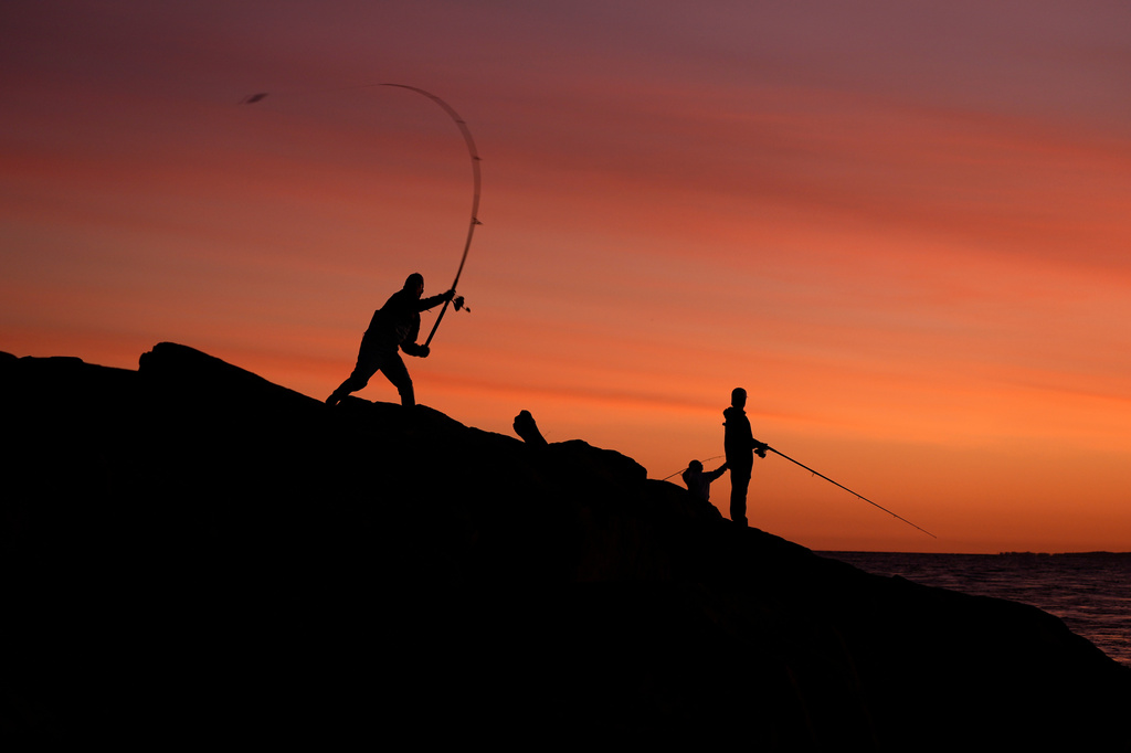 Generations of anglers have made the pilgrimage to Montauk to catch striped bass